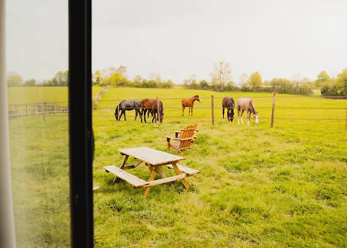 Parcel Tiny House I Les Jardins De La Thillaye